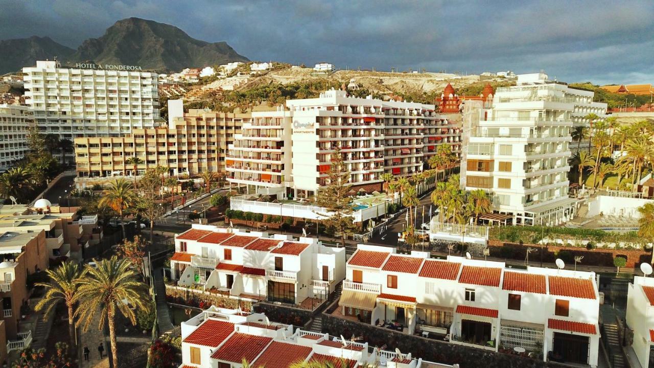 Studio In Perfect Location Playa de las Americas  Exteriör bild